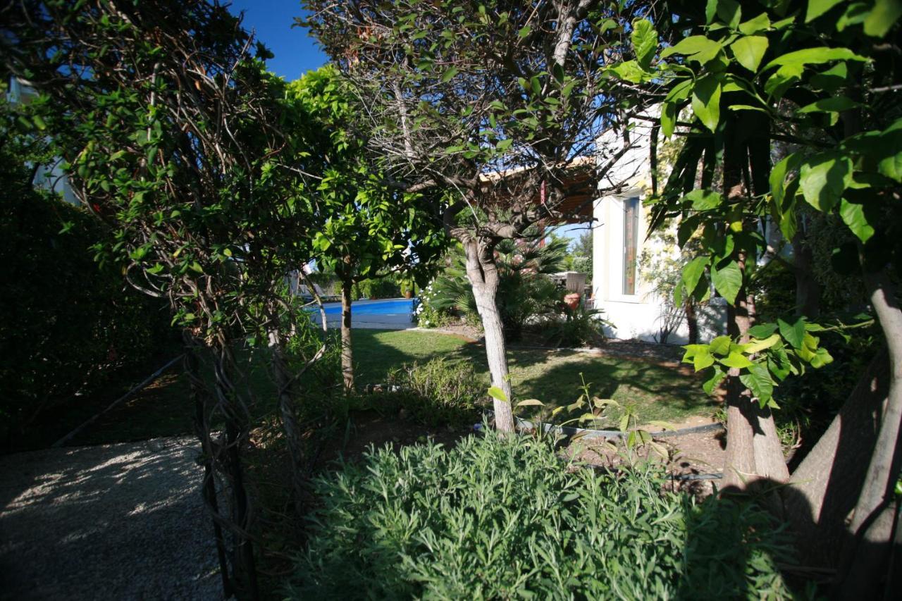 Beach Villa Sofia Néo Horió Kültér fotó